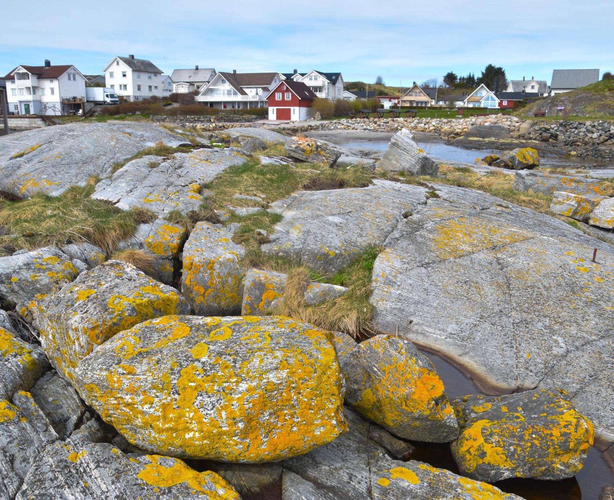 Rorbu I Havn Holiday home